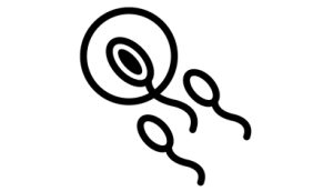 sperma