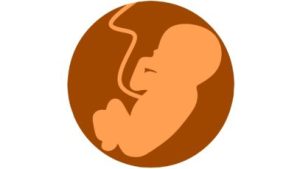 Minder leven voelen 1 e1594901457479
