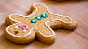 gingerbread 1262890 1920 e1596100527672