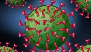 rotavirus W
