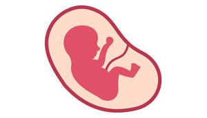 minder abortussen W
